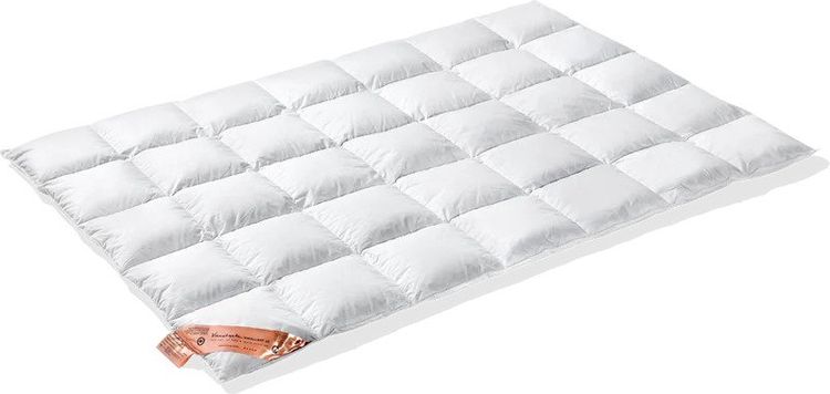 Vandyck Excellent 650 Dekbed
