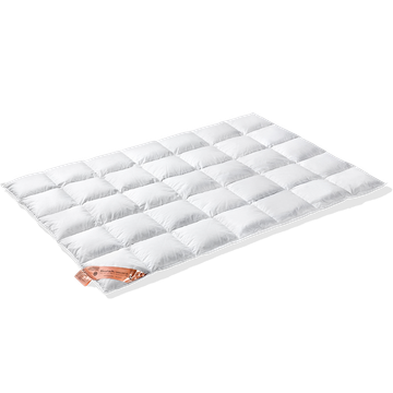 Vandyck Excellent 650 Dekbed