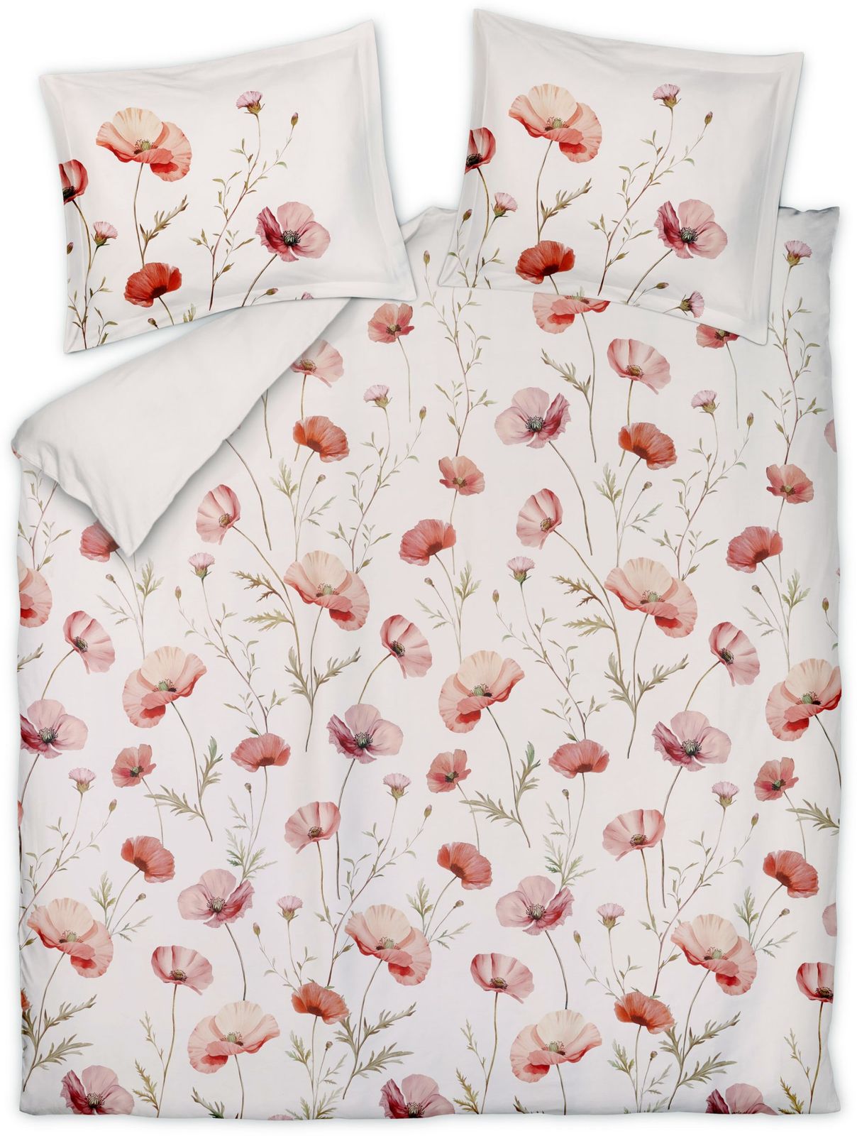 Vandyck Poppy Fields