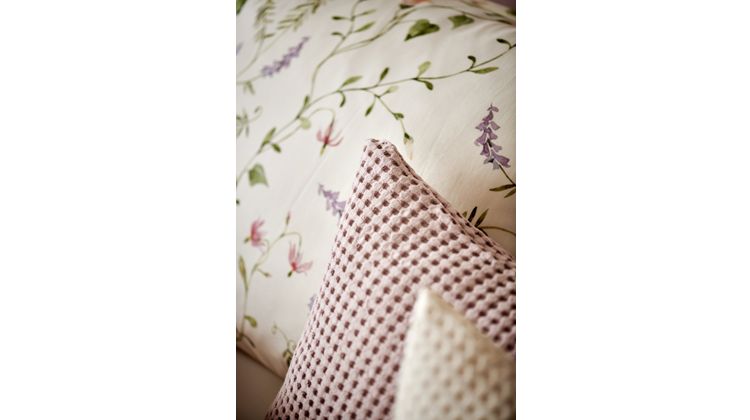 Vandyck Virella Dekbedovetrek