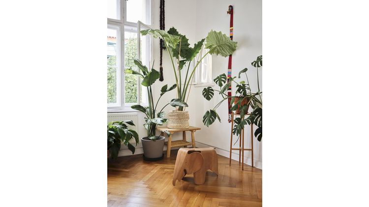 Vitra Eames Elephant Poef