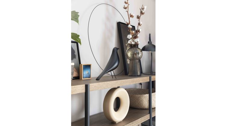 Vitra House Bird Eames