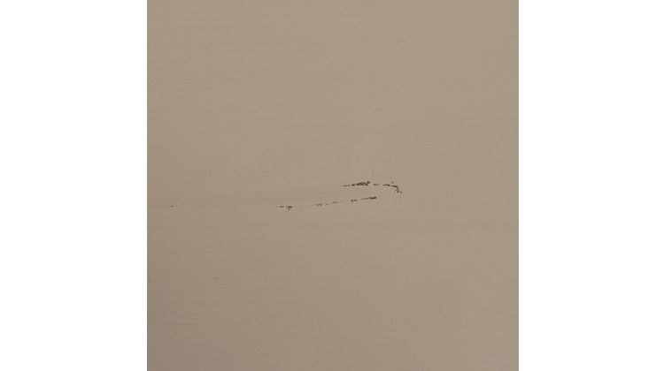 vtwonen Chow Vitrinekast