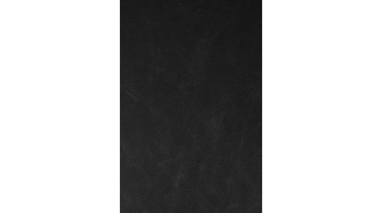 Zuiver Brit LL (set van 2) Barkruk