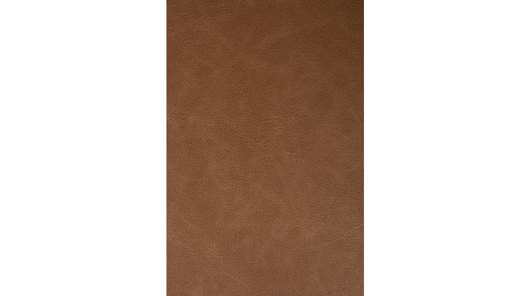 Zuiver Brit LL (set van 2) Barkruk