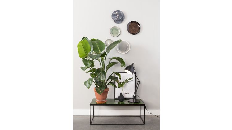 Zuiver Glazed Salontafel