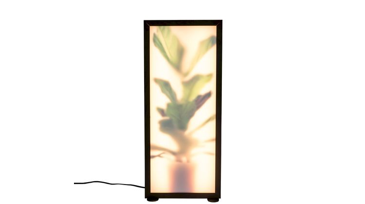Zuiver Grow L Vloerlamp