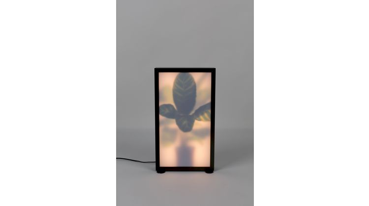Zuiver Grow M Vloerlamp