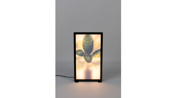 Zuiver Grow M Vloerlamp