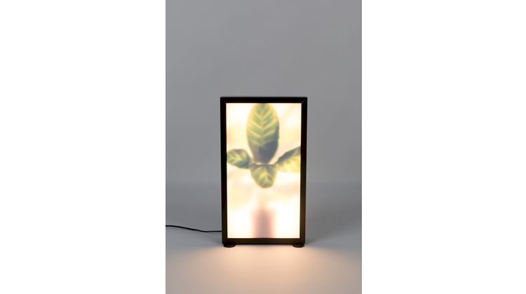 Zuiver Grow M Vloerlamp