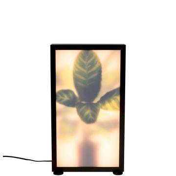 Zuiver Grow M Vloerlamp