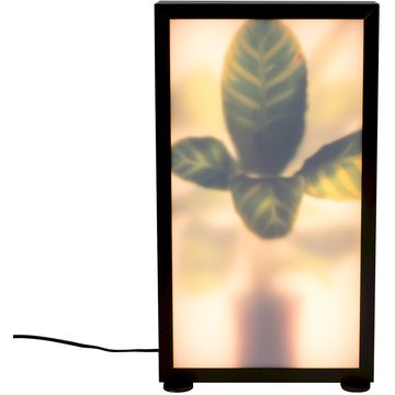 Zuiver Grow M Vloerlamp