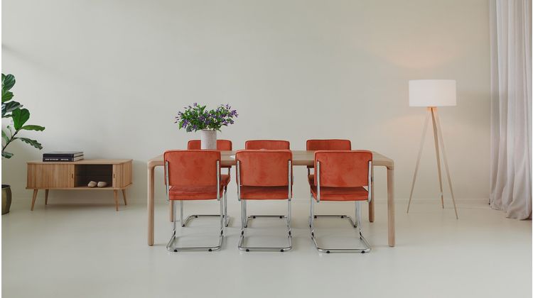 Zuiver Ridge Rib (set van 2) Eetkamerstoel