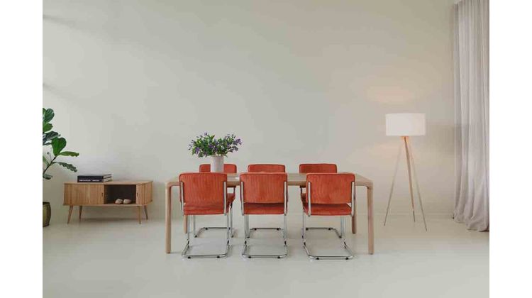 Zuiver Ridge Rib (set van 2) Eetkamerstoel