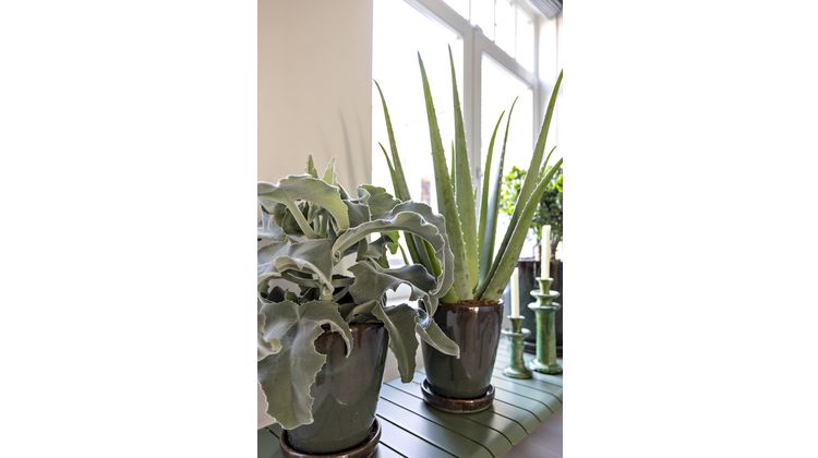 Zuiver Vondel Green Tuinbank